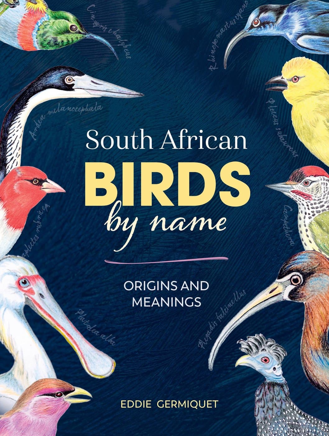 South African Birds by Name: Origins and Meanings